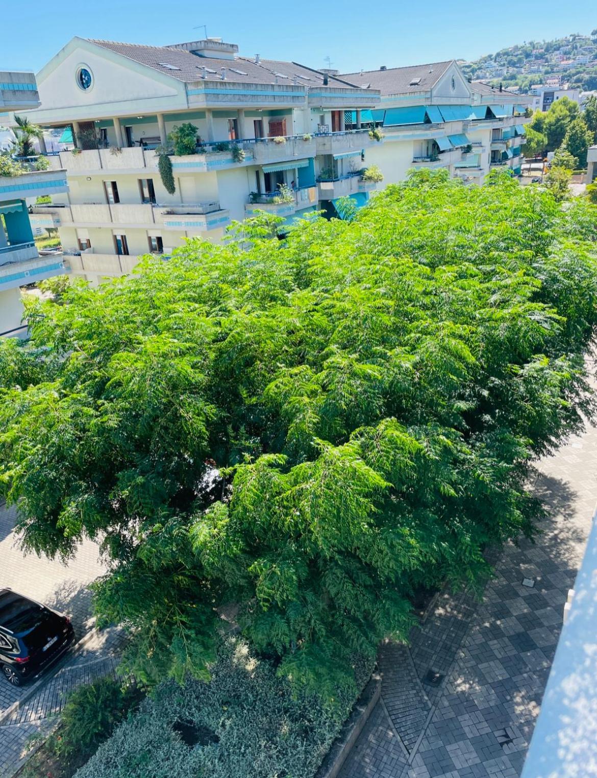Ferienwohnung Attico Vista E Fronte Mare Zaffiroblu Con Posto Auto Montesilvano Marina Exterior foto